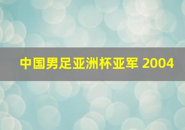 中国男足亚洲杯亚军 2004